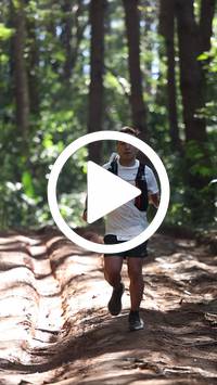 BIB:  <button type="button" onclick="openModal(26569398)" class="btn btn-primary btn-sm float-right" data-toggle="modal" data-target=".modal-high-quality">
                <i class="fa fa-download"></i> Download
                </button>